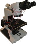 Nikon Optiphot M 4"  Microscope