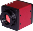 VGA CMOS Color Digital Camera